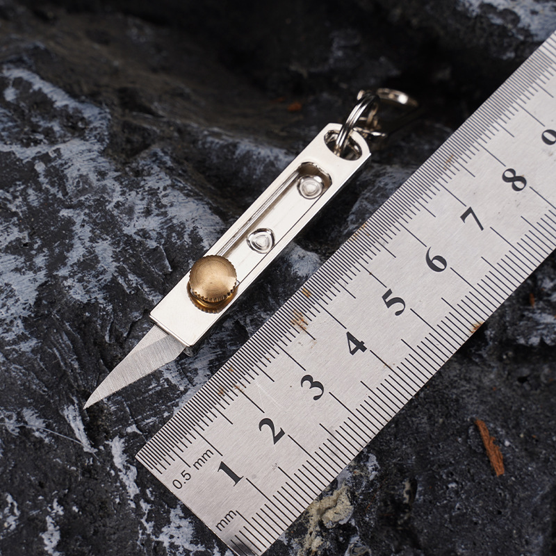 Mini Coltello in Acciaio Inox  - Edc Carry Pocket Knife recensione e prezzo