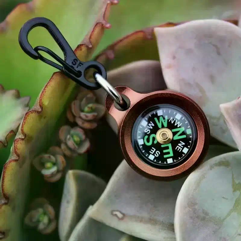 Mini ciondolo portachiavi buss - Compass Keychain Mini recensione e prezzo